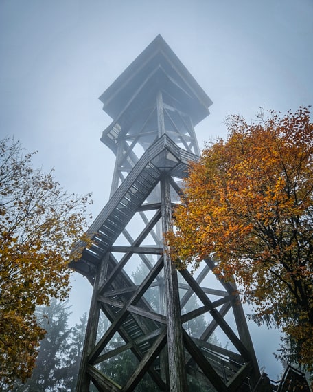 Steinwald via Komoot erwandern