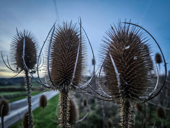 Spätherbst bei Ostheim vor der Rhön