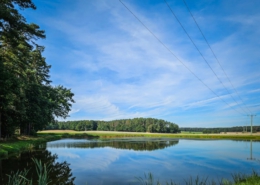 Vogel-Weiher-Tour bei Poppenwind