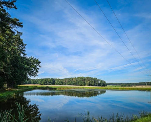 Vogel-Weiher-Tour bei Poppenwind