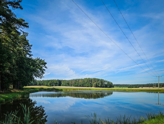 Vogel-Weiher-Tour bei Poppenwind